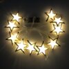 NGEL Solar Powered Tiki Light with Spike Stand for Garden, NGEL Solar Powered Tiki Light with Spike Stand for Garden, Yard, Pathways - Waterproof Golden Star Light (Pack of 1)