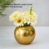 Nostrae-by-Ekhasa-Unbreakable-Metallic-Ball-Flower-Vase-for-Home-Decor-Aesthetic-Flower-Vase-Gift-for-Living-Room-Decorative-Metal-Vase-Gift-for-Wedding-Housewarming.jpg Nostrae by Ekhasa Unbreakable Metallic Ball Flower Vase for Home Decor | Aesthetic Flower Vase Gift for Living Room | Decorative Metal Vase Gift for Wedding, Housewarming