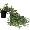 PAPERI Artificial Hanging Plant for Home Decor – Balcony Decoration PAPERI Artificial Hanging Plant for Home Decor – Balcony Decoration Items, Outdoor Garden Decorative Fake Plant, Plastic Vine Leaves with Pot, Long Green Leaf Vines for Living Room, Wall, Window