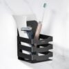 Plantex Self Adhesive Tumbler Holder for Barthroom/Stainless Steel Toothbrush Holder/Toothpaste Stand/Bathroom Accessories - Pack of 1 (1252, Black)