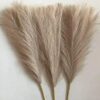 SATYAM KRAFT 3 Pcs Faux Pampas Grass Small Artificial Flowers Fake Flower for Home Decoration, Office,Bedroom, Table Decoration and Craft Items Corner (Without Vase Pot) (Brown, 41 CM)