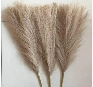 SATYAM KRAFT 3 Pcs Faux Pampas Grass Small Artificial Flowers SATYAM KRAFT 3 Pcs Faux Pampas Grass Small Artificial Flowers Fake Flower for Home Decoration, Office,Bedroom, Table Decoration and Craft Items Corner (Without Vase Pot) (Brown, 41 CM)