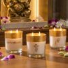 SEVA HOME Enchante Scented Candle Gift Set | Pack of 3 | Orchid, Jasmine & White Musk | 25H Burn Each | Natural Soy Wax | Festive Décor & Luxury Gifting
