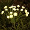Solar Garden Lights - 2 Pack, Dual Mode LED Solar Solar Garden Lights - 2 Pack, Dual Mode LED Solar Mushroom Lights, Waterproof Solar Garden Decoration, Patio, Solar Jellyfish Lights for Garden Ambience (Warm Light)