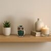 The-Spiritual-Living-Classy-Green-Owl-Statue-for-Good-Luck-4-Inch-Feng-Shui-Items-Art-Figure-Showpiece-for-Home-Decor-Living-Room-Figurines-Ideal-for-Gift-Pooja-Room.jpg The Spiritual Living Classy Green Owl Statue for Good Luck | 4 Inch | Feng Shui Items | Art Figure Showpiece for Home Decor Living Room | Figurines | Ideal for Gift | Pooja Room |