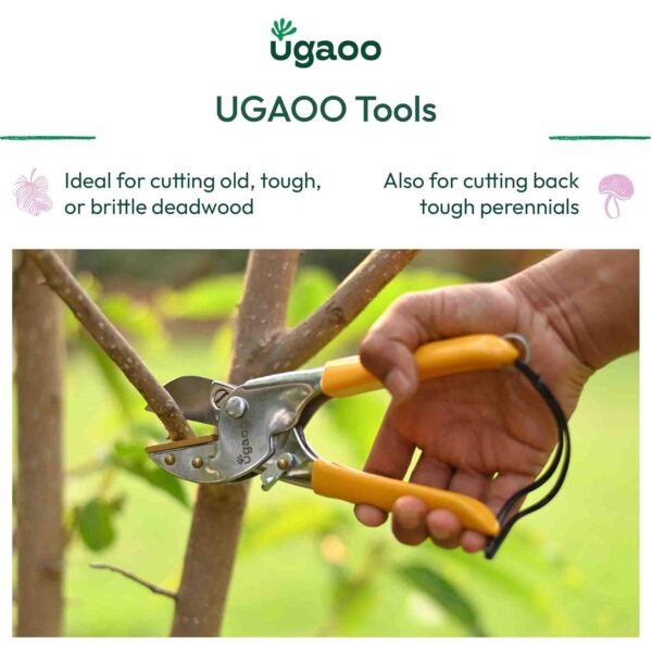 UGAOO Pruner Cutter Heavy Duty | Gardening Scissor | Plant Cutter for Garden | Pruners for Plants | Branch Cutter for Plants | Pruning Shears Tool | Wood Stem Cutting Accessory Home Garden Use