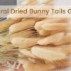 VRB Dec 50 Pcs Set 17inch Natural Dried Pampas Grass,Real Rabbit Bunny Tail,Reed Pampas,Boho Bouquet,Artificial Flowers Decor for Table Vase Home Decoration. (50 Pcs Dried Bunny Tails)