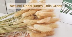 VRB Dec 50 Pcs Set 17inch Natural Dried Pampas Grass,Real Rabbit Bunny Tail,Reed Pampas,Boho Bouquet,Artificial Flowers Decor for Table Vase Home Decoration. (50 Pcs Dried Bunny Tails)