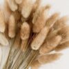 VRB Dec 50 Pcs Set 17inch Natural Dried Pampas Grass,Real Rabbit Bunny Tail,Reed Pampas,Boho Bouquet,Artificial Flowers Decor for Table Vase Home Decoration. (50 Pcs Dried Bunny Tails)