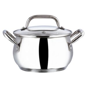 Vinod Almaty Stainless Steel Saucepot with Glass Lid, 2 Litre, 16 cm | 2.6 mm Thick SAS Base | Ideal for Soups, Curries, Pasta & Sauces | Riveted Handle | Induction & Gas Compatible | 2 Yr Warranty