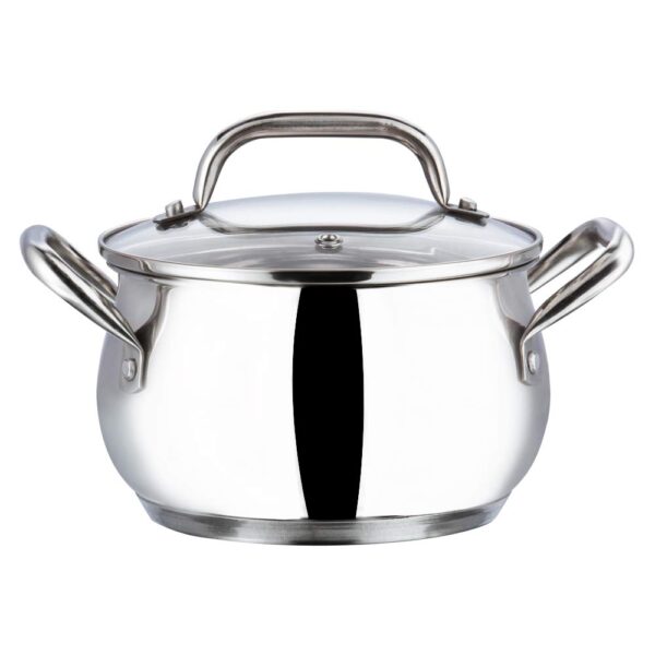 Vinod Almaty Stainless Steel Saucepot with Glass Lid, 2 Litre, 16 cm | 2.6 mm Thick SAS Base | Ideal for Soups, Curries, Pasta & Sauces | Riveted Handle | Induction & Gas Compatible | 2 Yr Warranty