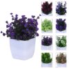 amazon basics Artificial Plants with Pot|Realistic Looking| Multi Variety |Durable Plastic | No Maintenance | Home Decor | Dimensions: 5 cm X 13 cm (Pack of 8)