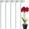 ecofynd 18 inches Metal Trellis for Plants, Pack of 5 | Single Stem Flower Plant Support | Garden Climbing Plant Trellis for Amaryllis Orchid Lily Rose Tomatoes