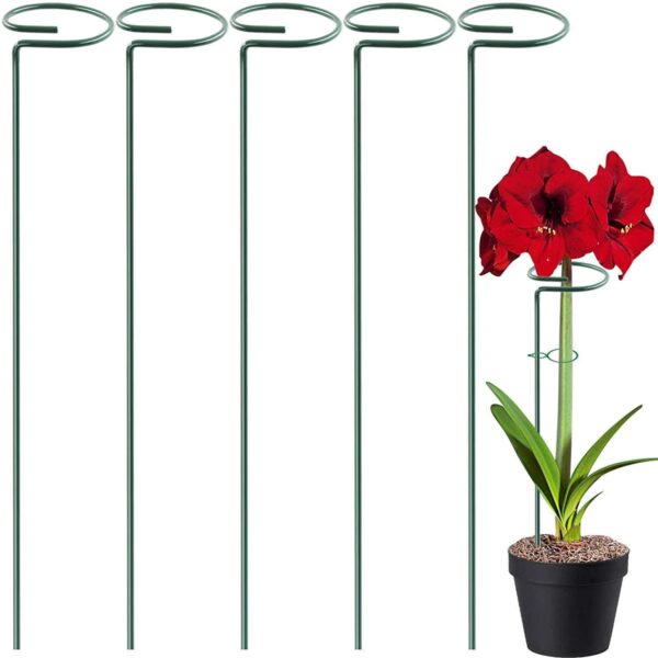 ecofynd 18 inches Metal Trellis for Plants, Pack of 5 | Single Stem Flower Plant Support | Garden Climbing Plant Trellis for Amaryllis Orchid Lily Rose Tomatoes