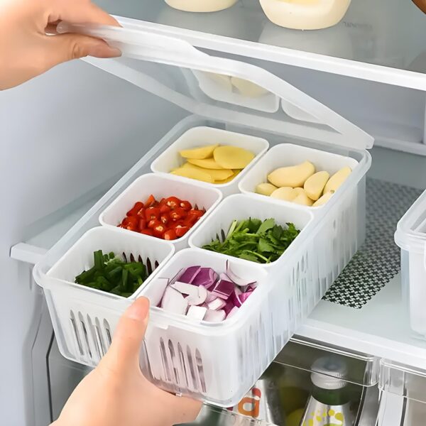 hago Refrigerator Organizer Container with 6 Grid Compartments | 1200 hago Refrigerator Organizer Container with 6 Grid Compartments | 1200 ML Fridge Storage Box for Vegetables & Fruits | BPA-Free Kitchen Storage Container for Fridge Organisation