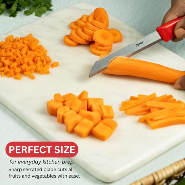 rena-Stainless-Steel-Serrated-Knife-Set-–-5-piece-90-mm-Sharp-Knife-Set-for-Kitchen-Use-for-Fruits-Vegetables-Bread.-Rust-Resistant-Dishwasher-Safe-Long-Lasting.jpg rena Stainless Steel Serrated Knife Set – 5 piece 90 mm Sharp Knife Set for Kitchen Use, for Fruits, Vegetables, Bread. Rust Resistant, Dishwasher Safe & Long Lasting