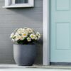 YUCCABE ITALIA FOXB PCUP 17 Inch Pots for Plants Highly Durable Polymers Lightweight Indoor Outdoor Flower Gamla Tree Planter Container Planters for Living Room, Balcony, Garden, Office, Gray