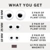 1775084704_Plant-Swag-Eyes-Plant-Magnets-Plant-Safe-Googly-Eyes-for-Potted-Plants-Magnet-Charms-Plant-Decor-Cute-Plant-Accessories-for-Garden-Decor-Plant-Peepers.jpg Plant Swag Eyes | Plant Magnets | Plant Safe Googly Eyes for Potted Plants | Magnet Charms | Plant Decor | Cute Plant Accessories for Garden Decor | Plant Peepers