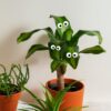 1775084708_Plant-Swag-Eyes-Plant-Magnets-Plant-Safe-Googly-Eyes-for-Potted-Plants-Magnet-Charms-Plant-Decor-Cute-Plant-Accessories-for-Garden-Decor-Plant-Peepers.jpg Plant Swag Eyes | Plant Magnets | Plant Safe Googly Eyes for Potted Plants | Magnet Charms | Plant Decor | Cute Plant Accessories for Garden Decor | Plant Peepers
