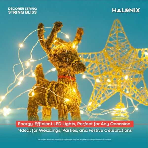 Halonix Bliss Rice Light | Decorative Light | Fairy Light | USB Powered | String Light | Diwali Light | Warm White| Pack 1 |Diwali Lights for Decoration for Home-Plastic,Corded Electric