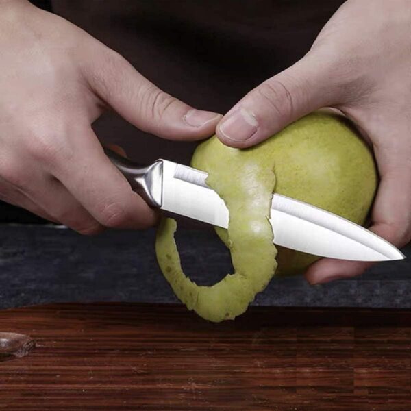 3 PCS Stainless Steel Kitchen Knife Set with Ergonomic Handle Sharp & Durable for Cutting, Slicing & Chopping