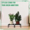 CINAGRO Anti Rust Square Metal Plant Stand (Black, Pack of 1) - 9.84 inches, Strong Durable Plant Stands for Outdoor Balcony, Indoor Living Room, Gamla Planters for Home Decor