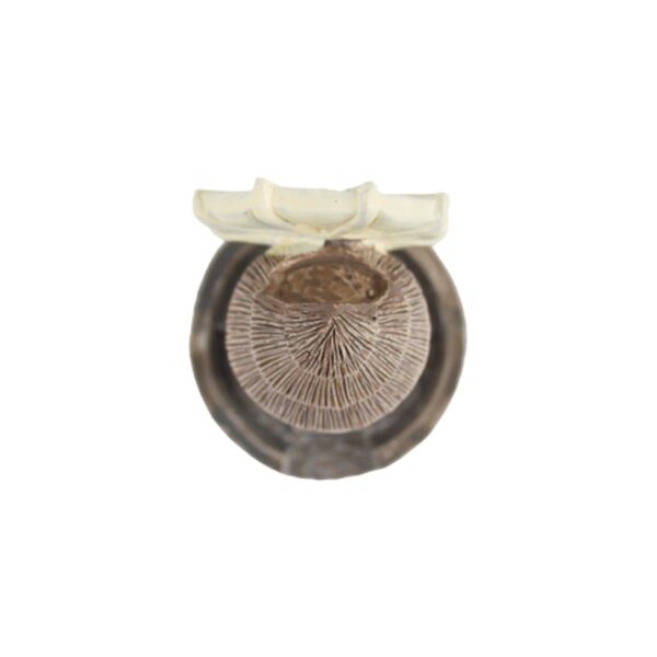 Wonderland Miniature Resin Windmill |Garden Miniatures| Doll House Accessories| Miniature for Home & Garden Decor