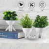 1775209269_Kuber-Industries-3-Pcs-Set-Plastic-Mini-Artificial-Plants-with-Pot-Table-Top-TV-Unit-Decorative-Items-for-Living-Room-Faux-Plants-for-Home-Decor-Office-Desk-Man-Shape-White.jpg Kuber Industries 3 Pcs Set Plastic Mini Artificial Plants with Pot | Table Top & TV Unit Decorative Items for Living Room | Faux Plants for Home Decor & Office Desk | Man Shape - White