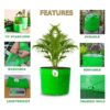 1775247165_ORGANIC-BAZAR-12x12-Grow-Bags-for-Terrace-Garden-Premium-HDPE-260-GSM-Green-Planters-for-Vegetables-Flowers-and-Indoor-Outdoor-Plants-Pack-of-10.jpg ORGANIC BAZAR 12x12 Grow Bags for Terrace Garden, Premium HDPE 260 GSM Green Planters for Vegetables, Flowers, and Indoor Outdoor Plants (Pack of 10)