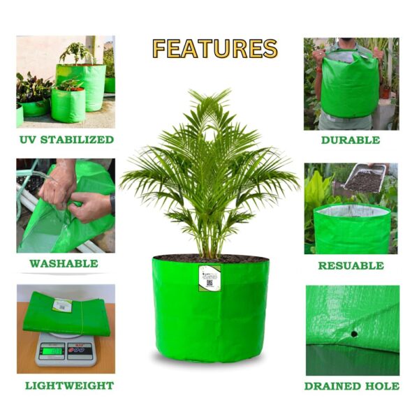1775247165_ORGANIC-BAZAR-12x12-Grow-Bags-for-Terrace-Garden-Premium-HDPE-260-GSM-Green-Planters-for-Vegetables-Flowers-and-Indoor-Outdoor-Plants-Pack-of-10.jpg ORGANIC BAZAR 12x12 Grow Bags for Terrace Garden, Premium HDPE 260 GSM Green Planters for Vegetables, Flowers, and Indoor Outdoor Plants (Pack of 10)