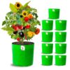 1775247166_ORGANIC-BAZAR-12x12-Grow-Bags-for-Terrace-Garden-Premium-HDPE-260-GSM-Green-Planters-for-Vegetables-Flowers-and-Indoor-Outdoor-Plants-Pack-of-10.jpg ORGANIC BAZAR 12x12 Grow Bags for Terrace Garden, Premium HDPE 260 GSM Green Planters for Vegetables, Flowers, and Indoor Outdoor Plants (Pack of 10)