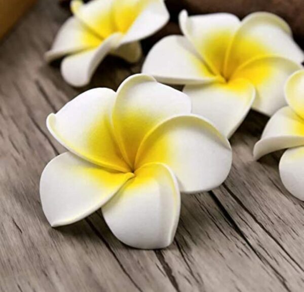 VRB Dec™ Artificial gBig Foam Hawaaii Fake Foam Water Floating Flowers for Pooja Thali, Festival and Events, Home, Table, Badroom, Pooja Room, Diwali Decoration (12, White)