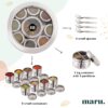 MARU Steel 12-in-1 Spice Box For Kitchen, Durable Masala Dani with Middle Partition Container & See- Through Lids, Stylish Anjarai Petti, Elegant Kitchen Storage Masala box