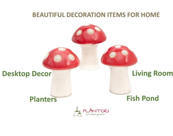 1775369713_Set-of-5-Ceramic-Decorative-Items-Terrarium-Accessories-Miniature-Toys-Mushroom-Decor-Office-Desk-Items-Garden-Decor-Items-Flower-Pot-Figurines-for-Zen-GardenSize-2-inches.jpg Set of 5 Ceramic Decorative Items | Terrarium Accessories | Miniature Toys | Mushroom Decor | Office Desk Items | Garden Decor Items | Flower Pot Figurines for Zen Garden(Size: 2 inches)
