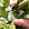 1775393223_50-Pcs-Reusable-Garden-Plant-Support-Clips-–-Tomato-Trellis-Clips-for-Vines-Vegetables-Fruits-Flowers-–-Easy-to-Use-Plant-Trellis-Clips-for-Healthy-Growth-in-Home-Garden-Greenhouse.jpg 50 Pcs Reusable Garden Plant Support Clips – Tomato Trellis Clips for Vines, Vegetables, Fruits & Flowers – Easy to Use Plant Trellis Clips for Healthy Growth in Home Garden & Greenhouse