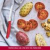 1775450157_Victorinox-Swiss-Made-Stainless-Steel-Swiss-Classic-Paring-Knife-11-cm-Serrated-Edge-with-Round-Tip-Professional-and-Household-Kitchen-Tools-Kitchen-Items-Red-6.7831.C1-Multipurpose-Knife.jpg Victorinox Swiss Made, Stainless Steel Swiss Classic Paring Knife, 11 cm, Serrated Edge with Round Tip, Professional and Household Kitchen Tools, Kitchen Items, Red, 6.7831.C1 | Multipurpose Knife