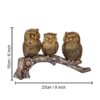 1775514557_Top-Trends®-Handcrafted-Owl-Family-Sitting-on-Tree-Decorative-Bird-Showpieces-Statue-for-Home-Decor-Living-Room-Bedroom-Wall-Shelf-Table-Top-Garden-Decoration-Items.jpg Top Trends® Handcrafted Owl Family Sitting on Tree Decorative Bird Showpieces Statue for Home Decor Living Room Bedroom Wall Shelf Table Top Garden Decoration Items