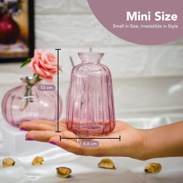 Ekhasa Pink Glass Bud Vases Flower Pots for Home Decoration (Set of 3) | Center Table Mini Decorative Items | Transparent Glass Vase for Water Plants | Glass Planters for Indoor Plants