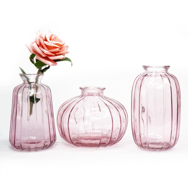 Ekhasa Pink Glass Bud Vases Flower Pots for Home Decoration (Set of 3) | Center Table Mini Decorative Items | Transparent Glass Vase for Water Plants | Glass Planters for Indoor Plants