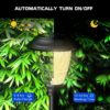 1775585155_hardoll-Solar-Decorative-Pathway-Lights-for-Home-Outdoor-Garden-Waterproof-LED-Warm-White-Lamp-Pack-of-4.jpg hardoll Solar Decorative Pathway Lights for Home Outdoor Garden Waterproof LED Warm White Lamp (Pack of 4)
