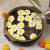 1775597486_SATYAM-KRAFT-12-Pcs-Artificial-Big-Foam-Hawaii-Water-Floating-Flowers-for-Pooja-Thali-Home-Decor-Table-Bedroom-Mandir-Pooja-Room-Hair-Accessories-Wedding-Festival-Events-Decor-DIY-Craft.jpg SATYAM KRAFT 12 Pcs Artificial Big Foam Hawaii Water Floating Flowers for Pooja Thali Home Decor Table Bedroom Mandir Pooja Room Hair Accessories Wedding Festival Events Decor DIY Craft