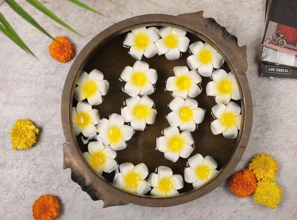 1775597488_SATYAM-KRAFT-12-Pcs-Artificial-Big-Foam-Hawaii-Water-Floating-Flowers-for-Pooja-Thali-Home-Decor-Table-Bedroom-Mandir-Pooja-Room-Hair-Accessories-Wedding-Festival-Events-Decor-DIY-Craft.jpg SATYAM KRAFT 12 Pcs Artificial Big Foam Hawaii Water Floating Flowers for Pooja Thali Home Decor Table Bedroom Mandir Pooja Room Hair Accessories Wedding Festival Events Decor DIY Craft