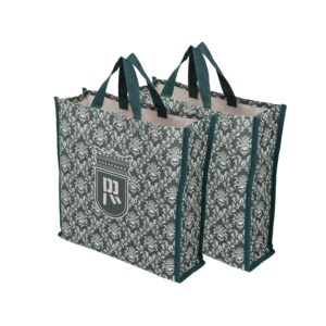 DOUBLE R BAGS Reusable Multi-Purpose Shopping Bags with Handles for Grocery, Vegetables & Kitchen Essentials | Eco-Friendly Tote Bag (Pack of 2, Green, 35.6X35.6X12.7 cm, 1 Compartment)