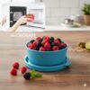 SignoraWare Monarch Mini Mate Stainless Steel Container | Airtight & Leakproof | Small Storage Box for Spices, Chutney, Snacks | Ideal for Office, School & Travel (80ml | EBlue)