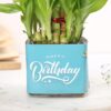 FlowerAura Air Purifying Lucky 2 Layer Bamboo Live Indoor Plant in Glass Pot for Office/Home Decor & for Birthday Gift, Diwali Gift, Holi Gift, (Same Day Delivery)
