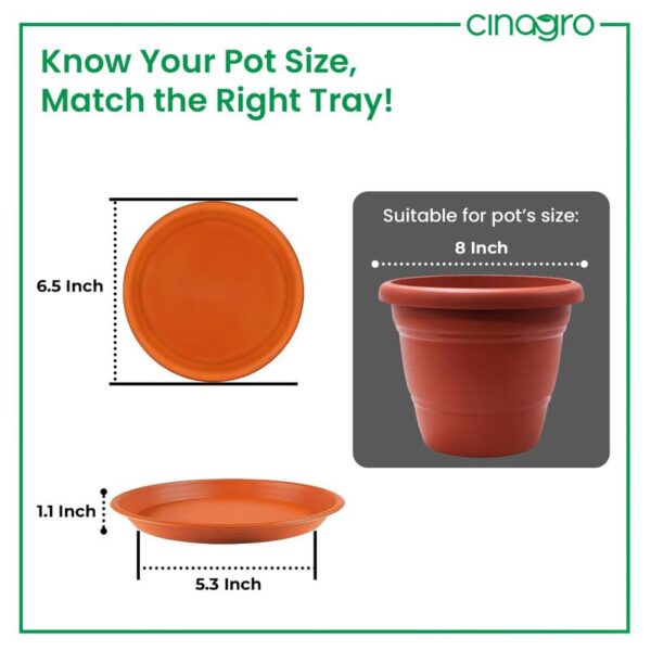 1775856424_CINAGRO-UV-Treated-6.5-Inch-Round-Bottom-Trays-Pack-of-6-Fits-8-inch-Round-Pots-Gamla-Saucer-Plate-Durable-Planter-Drip-Trays-for-Pots-Round-Water-Collection-Plate-for-Indoor-Outdoor-Plants.jpg CINAGRO UV Treated 6.5 Inch Round Bottom Trays - Pack of 6, Fits 8 inch Round Pots, Gamla Saucer Plate, Durable Planter Drip Trays for Pots, Round Water Collection Plate for Indoor & Outdoor Plants