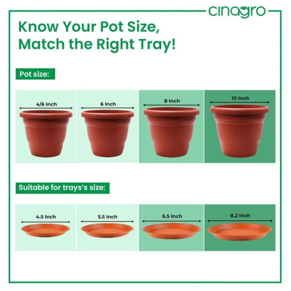 1775856425_CINAGRO-UV-Treated-6.5-Inch-Round-Bottom-Trays-Pack-of-6-Fits-8-inch-Round-Pots-Gamla-Saucer-Plate-Durable-Planter-Drip-Trays-for-Pots-Round-Water-Collection-Plate-for-Indoor-Outdoor-Plants.jpg CINAGRO UV Treated 6.5 Inch Round Bottom Trays - Pack of 6, Fits 8 inch Round Pots, Gamla Saucer Plate, Durable Planter Drip Trays for Pots, Round Water Collection Plate for Indoor & Outdoor Plants