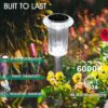1775867457_Eyrosa-Solar-Outdoor-Lights-10-Pack-Waterproof-Stainless-Steel-Solar-Stake-Lights-for-Pathway-Garden-Yard-Path-Walkway-Driveway-Lawn-Decor-Cool-White.jpg Eyrosa Solar Outdoor Lights, 10 Pack Waterproof Stainless Steel Solar Stake Lights for Pathway Garden Yard Path Walkway Driveway Lawn Decor - Cool White