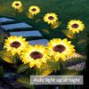 1775929777_LIGHTNIING-HAMMERZ-Sunflower-Lights-Outdoor-Solar-Lights-Solar-Garden-Light-Warm-Garden-Light-Outdoor-Decoration-Waterproof-Path-Lights-for-Pots-Balcon-Pathway-2.jpg LIGHTNIING HAMMERZ Sunflower Lights Outdoor Solar Lights | Solar Garden Light, Warm Garden Light | Outdoor Decoration | Waterproof | Path Lights for Pots, Balcon, Pathway (2)