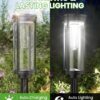 BITPOTT Solar Pathway Lights Outdoor Waterproof, 6 Pack Bright Garden Lights Solar Powered Auto On/Off, Dusk to Dawn Up to 12 Hrs Solar Landscape Lights for Yard Lawn (White, Pack 6)